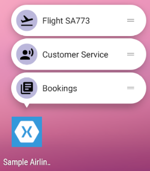 App shortcut “Flight SA773” is created at runtime